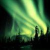 Observa la Aurora Boreal en vivo
