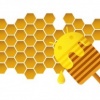 Google le cierra temporalmente las puertas a los desarrolladores de Honeycomb