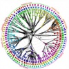 IMB desarrolla procesador que imita al cerebro humano